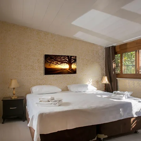 Hotel Splendor