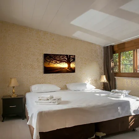 Splendor Hotel